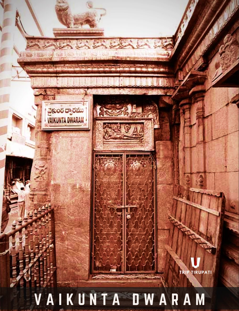 Vaikunta Ekadasi at Tirumala: TTD’s Darshan Plan & A Pilgrim’s Guide to the ‘Gateway to Heaven’