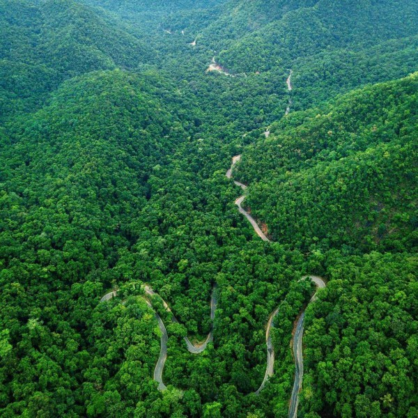 Hyderabad to Maredumilli Road Trip: An Unforgettable Forest Getaway Guide (2025)