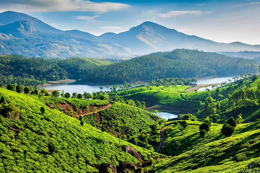 Munnar Travel Guide: My First-Hand Experience Exploring Kerala’s Misty Hill Station
