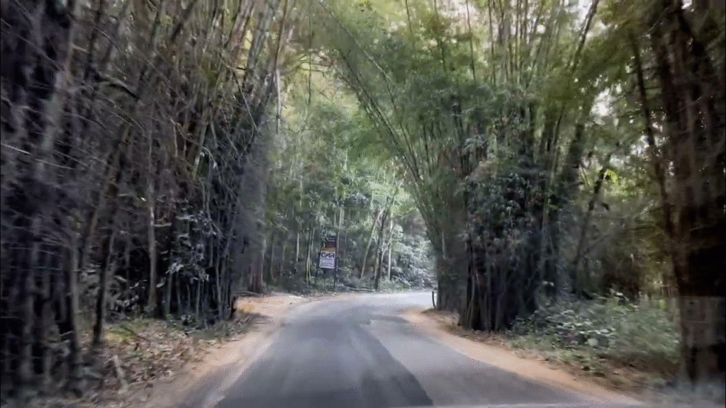 Hyderabad to Maredumilli road trip